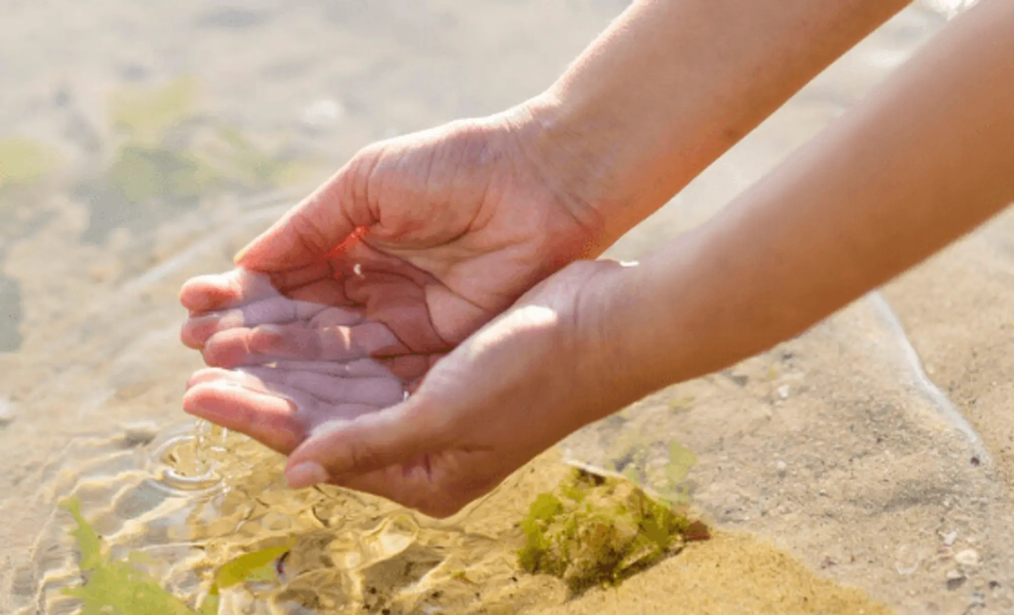 Water Conservation