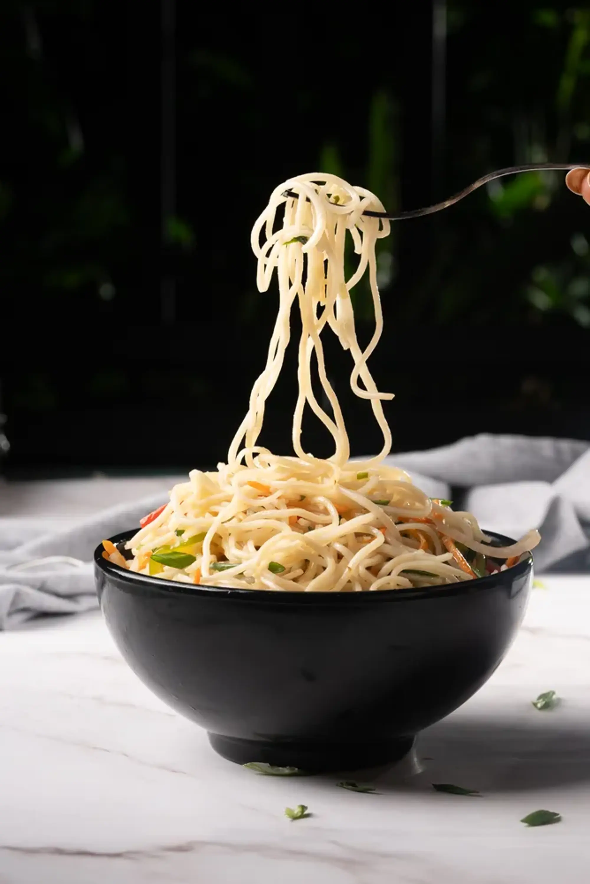 Veg Noodles
