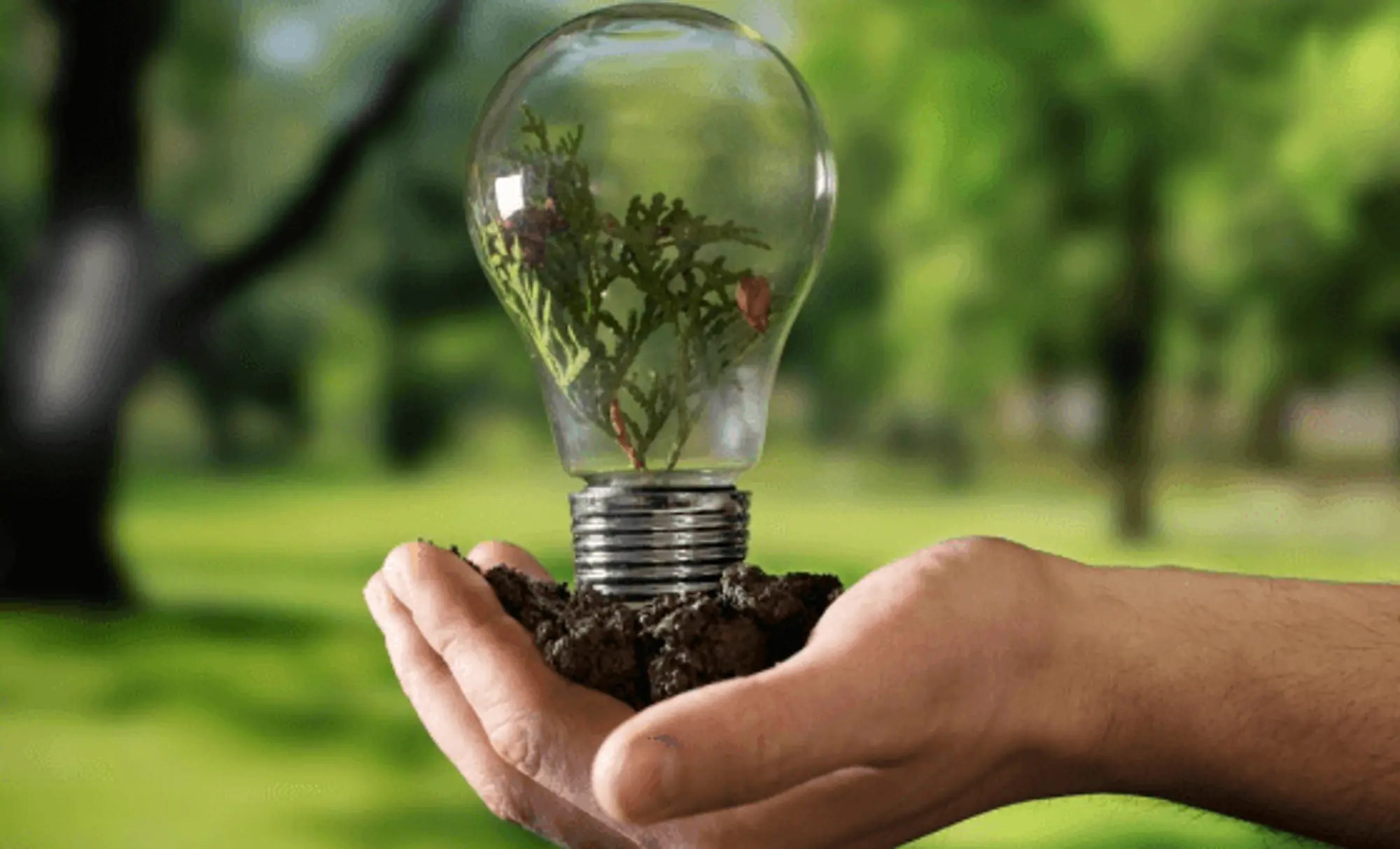 Energy Efficiency